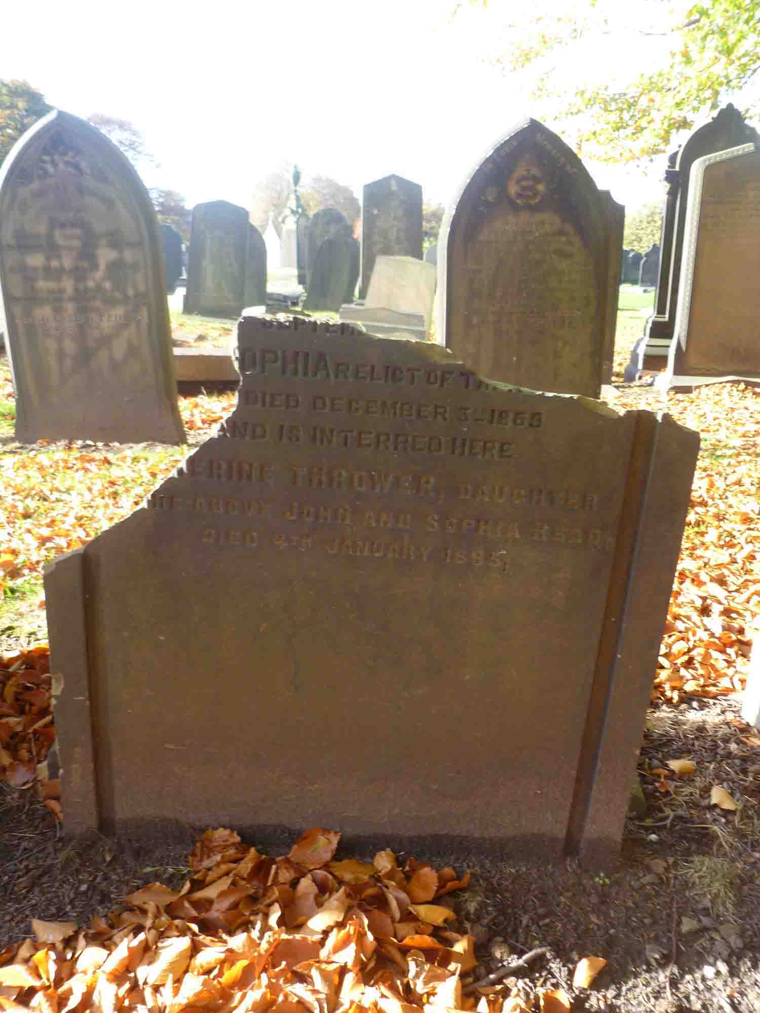 Read ( Left 179)